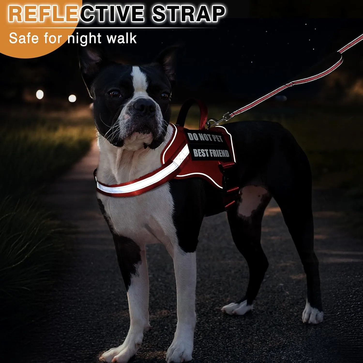 Service Dog Vest ID Tag Leash 6 Pcs Patches,Air Mesh Service Dog Harness with 2 Handles Dog Leash,2-Sided Metal Tag for Service Animals for Walking Training,No Pull Pet Harness Set Red XL