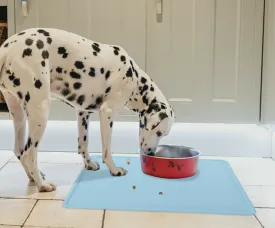 Silicone Pet Feeding Food Mat Waterproof Non-slip Dog Cat Bowl Placemat Light Blue