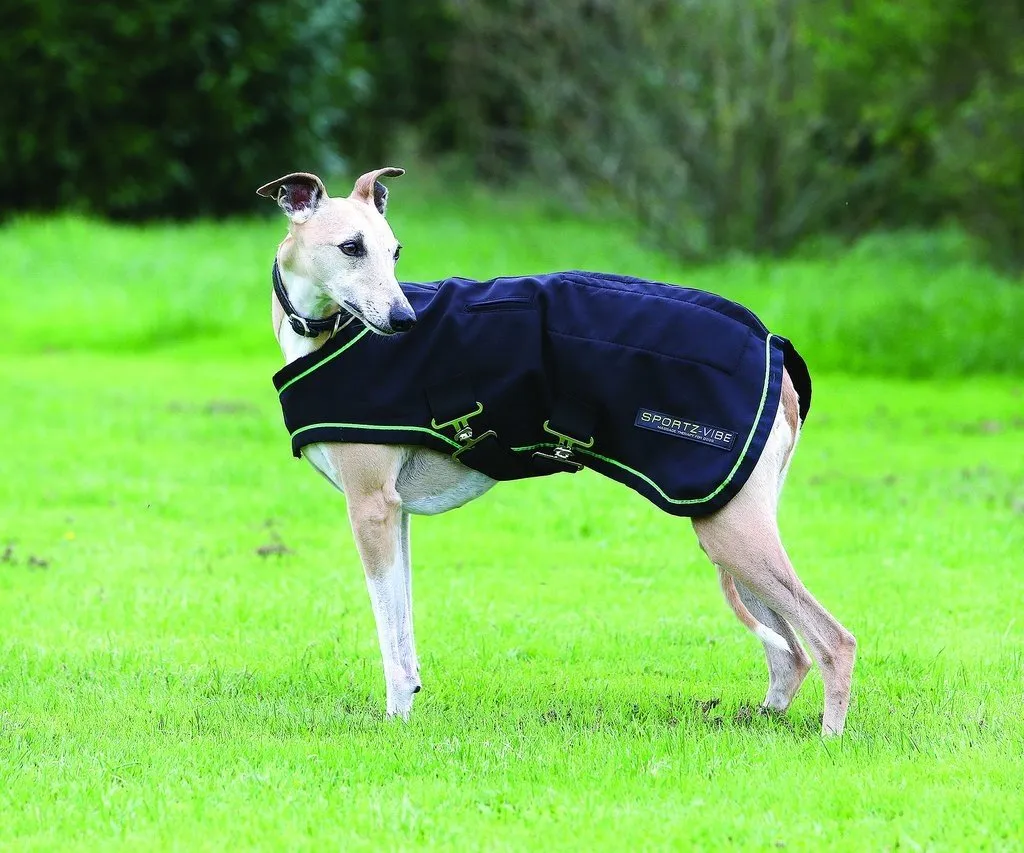 Sportzvibe Dog Rug
