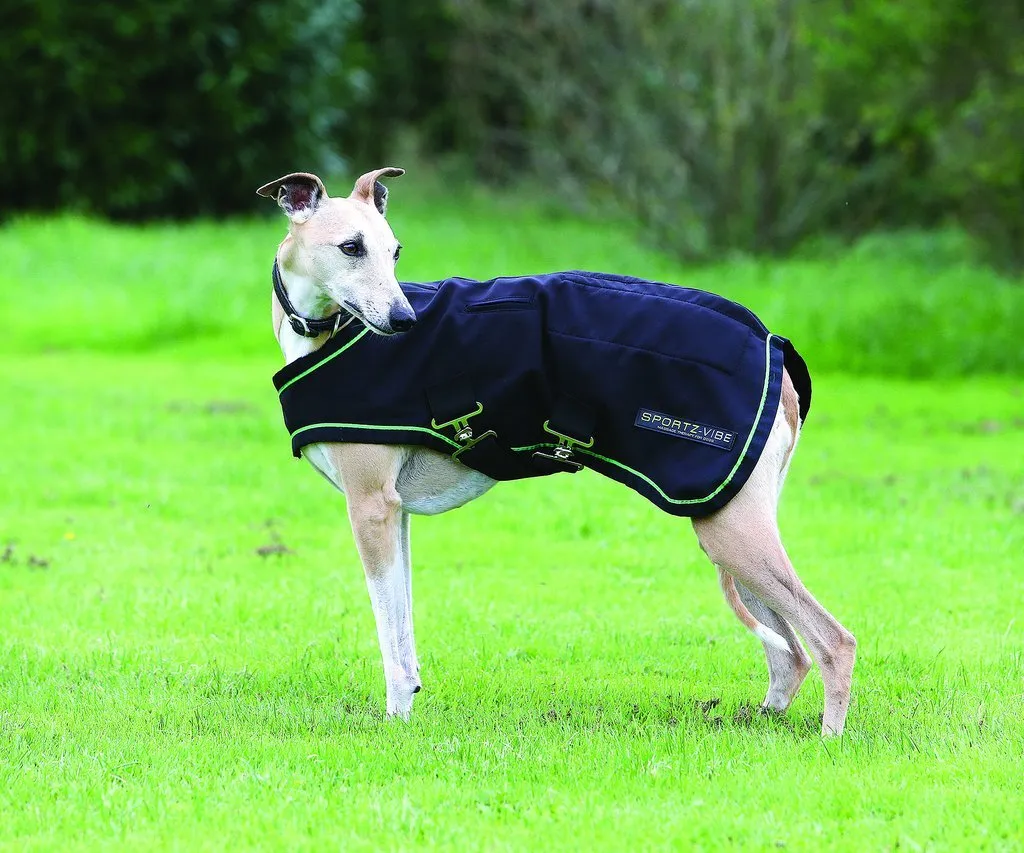 Sportzvibe Dog Rug