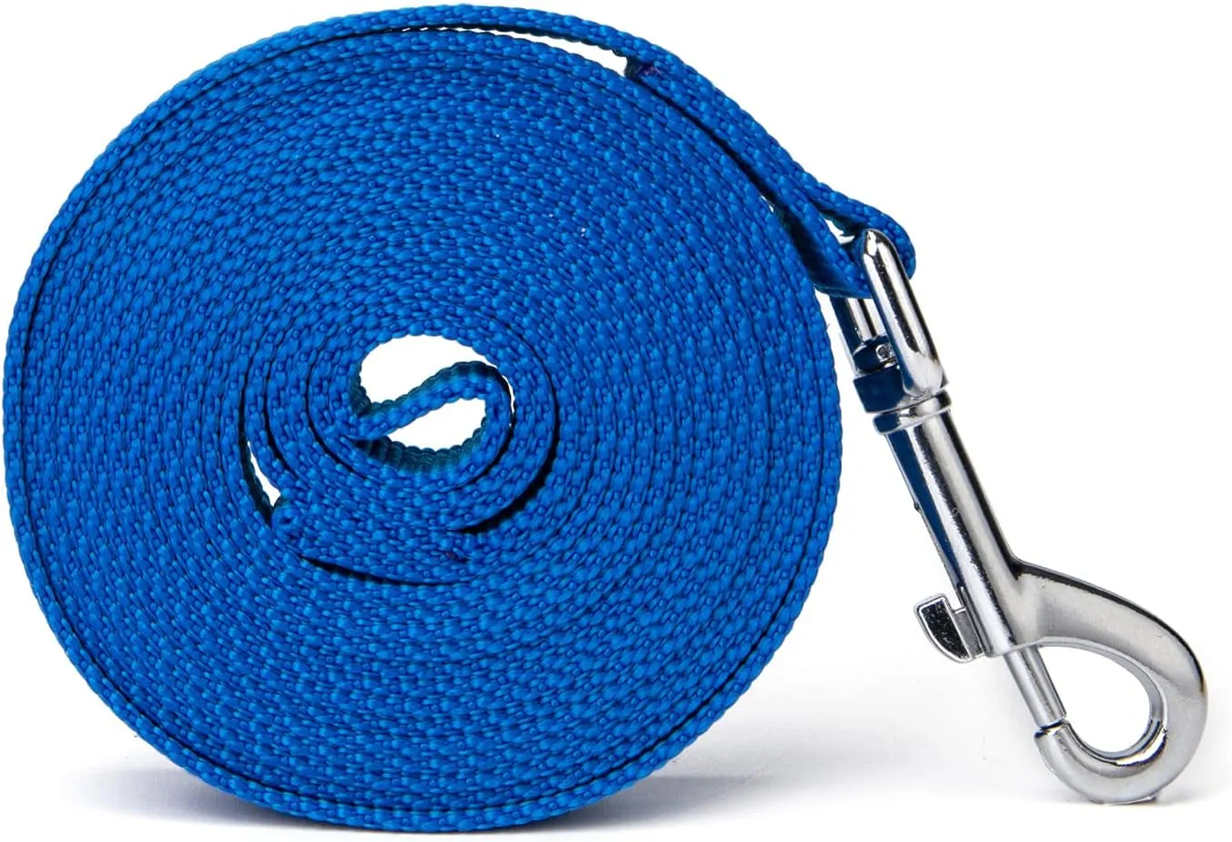 Strong Durable Nylon Dog Training Leash, 1 Inch Wide Traction Rope, 6 ft 10ft 15ft Long, for Small and Medium Dog (Blue, 6 Feet)