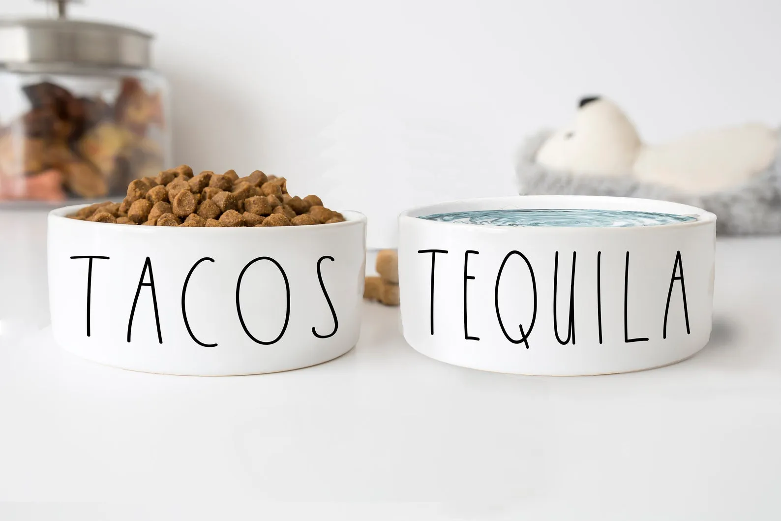 Tacos And Tequila Funny Ceramic Pet Food Bowls Set