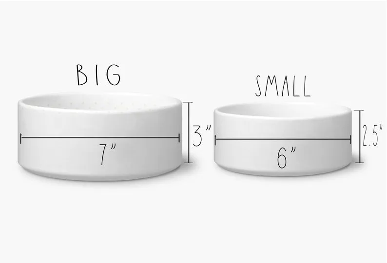 Tacos And Tequila Funny Ceramic Pet Food Bowls Set