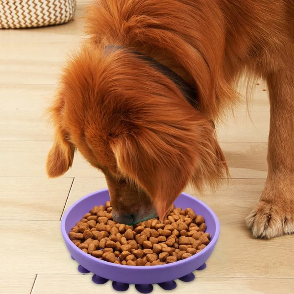 Talking Dog Club Lickables Licking Bowls for Dogs and Cats (Black)
