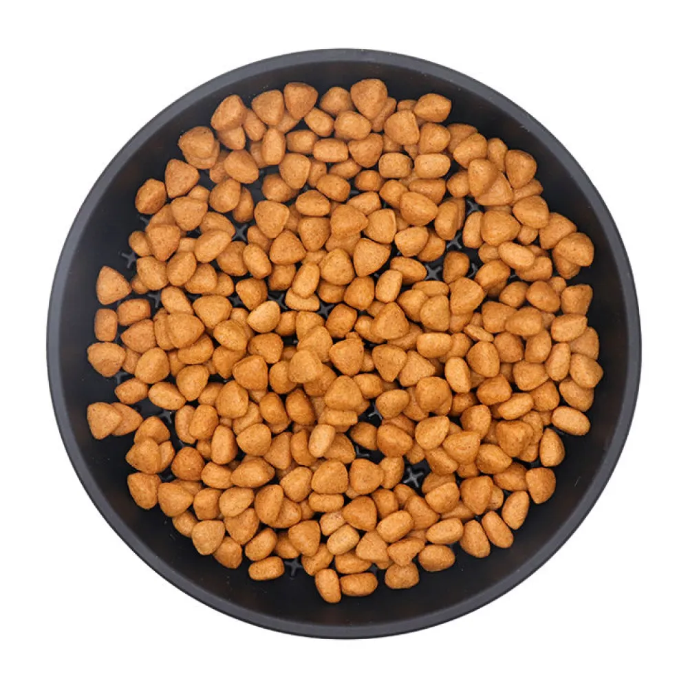 Talking Dog Club Lickables Licking Bowls for Dogs and Cats (Black)