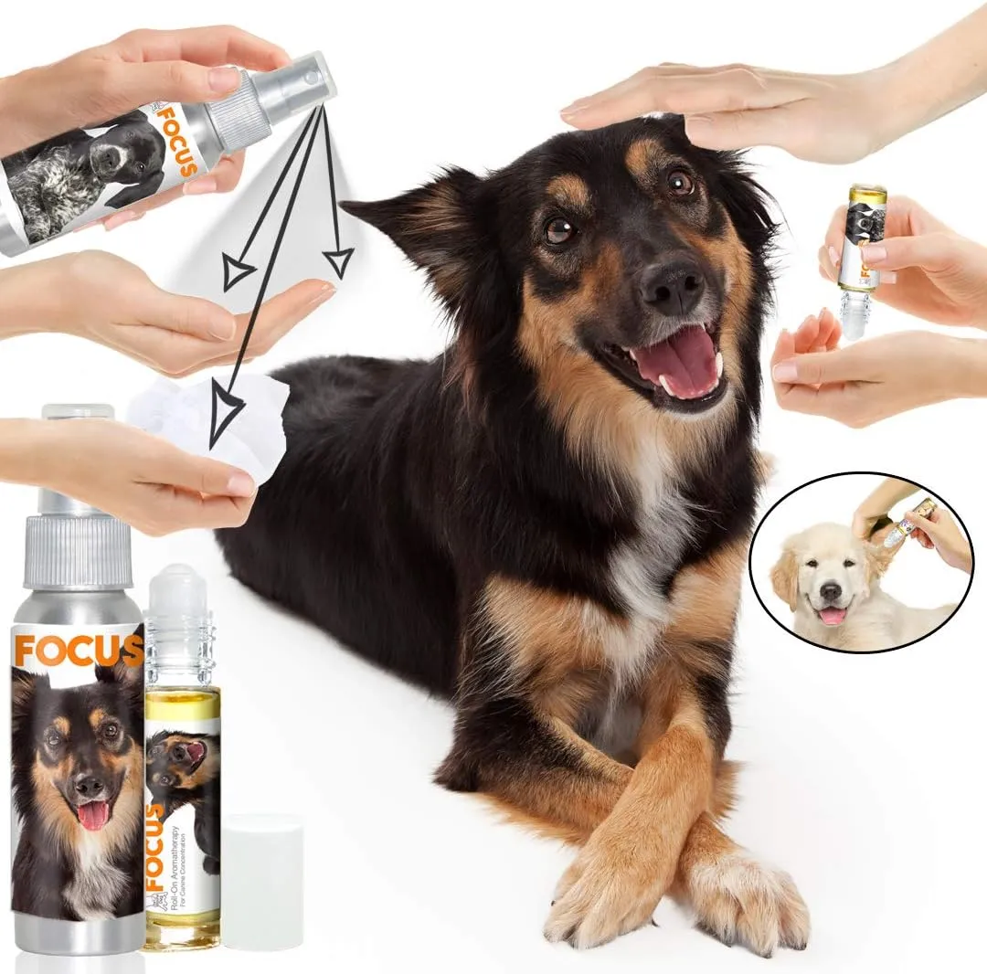 The Blissful Dog Australian Shepherd Focus Dog Aromatherapy Spray for Canine Concentration