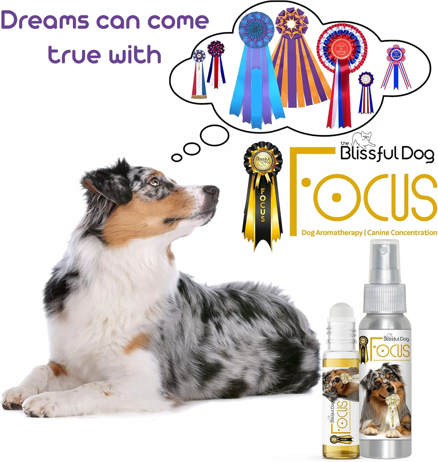 The Blissful Dog Australian Shepherd Focus Dog Aromatherapy Spray for Canine Concentration