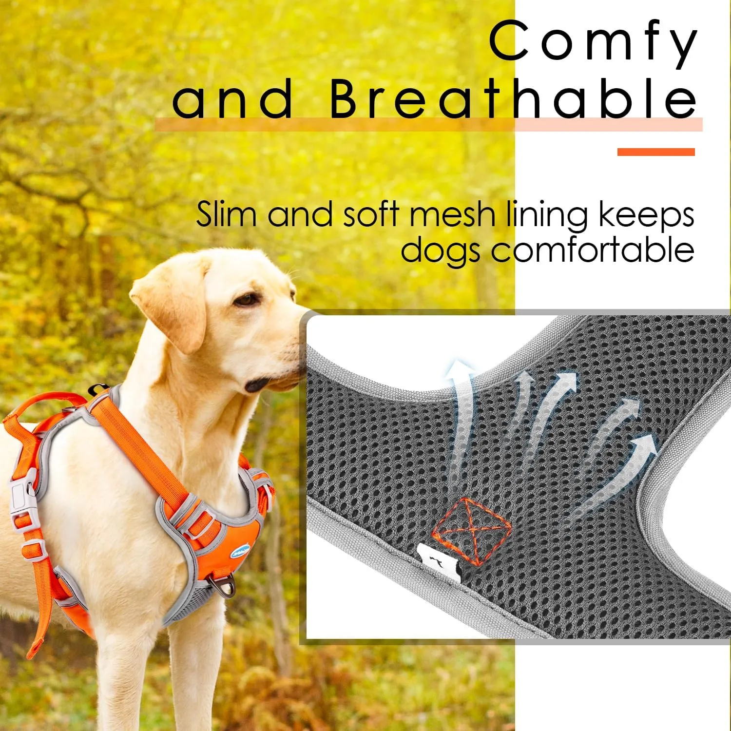 ThinkPet No Pull Harness Set Breathable Sport Harness with Handle - Reflective Padded Dog Safety Vest with Reflective Neon Dog Leash S Harness Leash Pack Orange