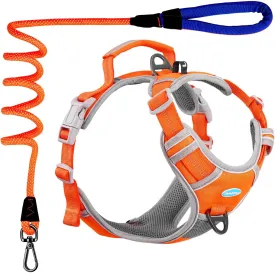 ThinkPet No Pull Harness Set Breathable Sport Harness with Handle - Reflective Padded Dog Safety Vest with Reflective Neon Dog Leash S Harness Leash Pack Orange