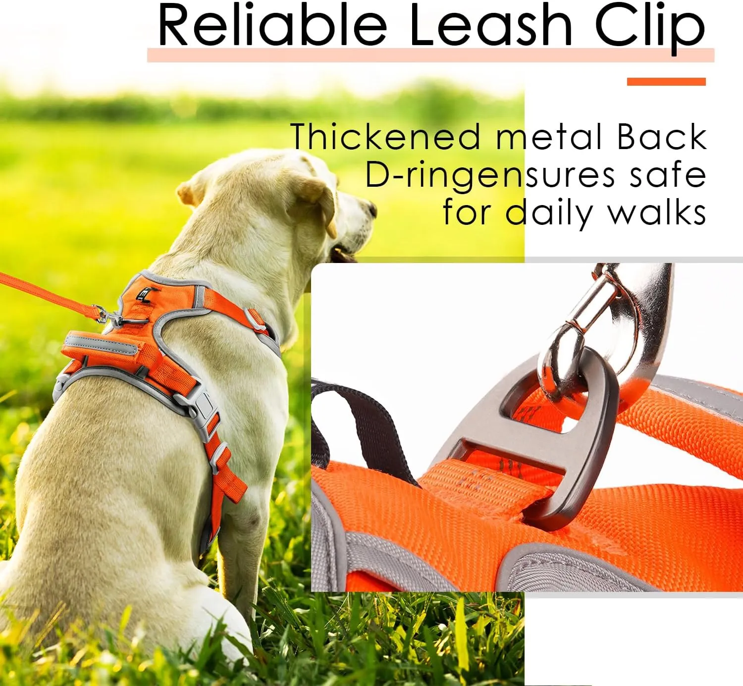 ThinkPet No Pull Harness Set Breathable Sport Harness with Handle - Reflective Padded Dog Safety Vest with Reflective Neon Dog Leash S Harness Leash Pack Orange