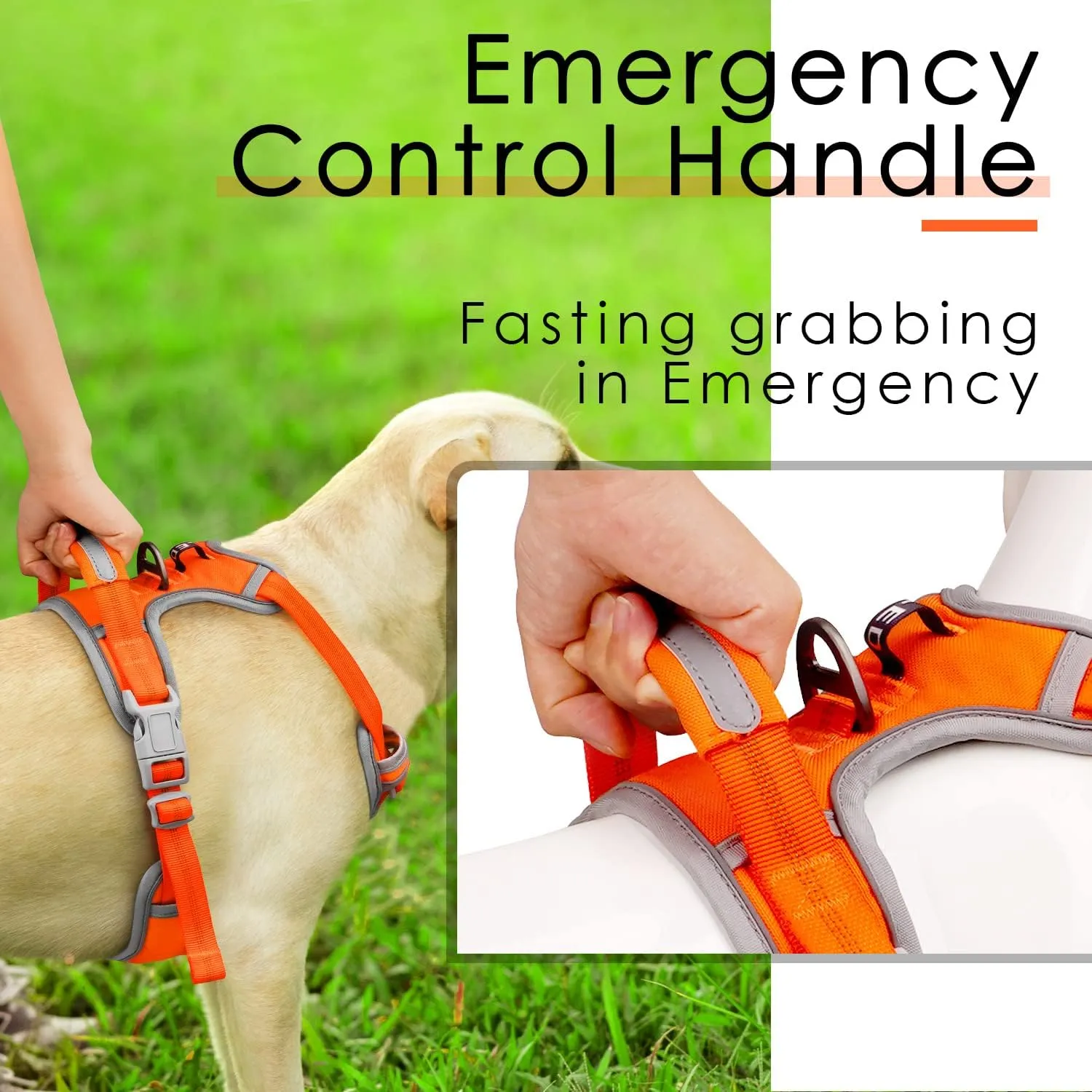 ThinkPet No Pull Harness Set Breathable Sport Harness with Handle - Reflective Padded Dog Safety Vest with Reflective Neon Dog Leash S Harness Leash Pack Orange