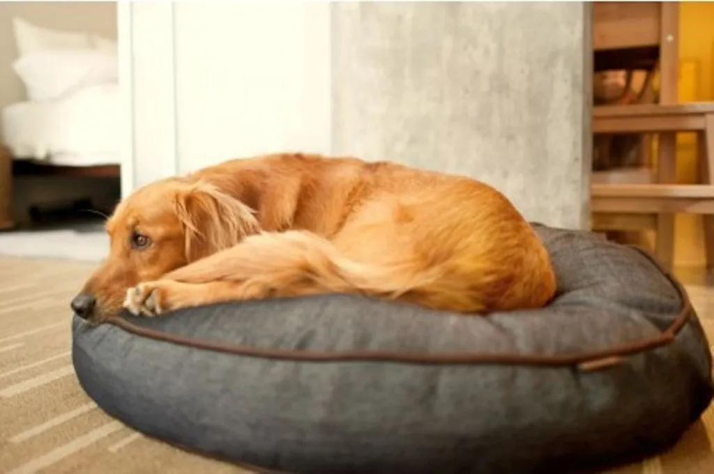 Urban Denim Bed by P.L.A.Y.